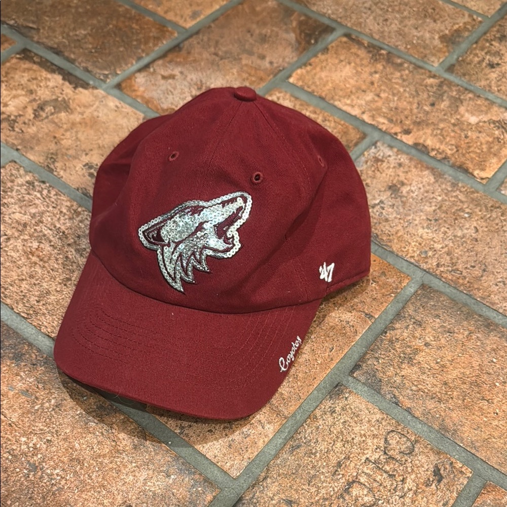 47’ Coyotes Sequin hat